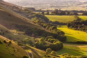 Biryani Kebab Chai | Proudly supporting the South Downs National Park Trust