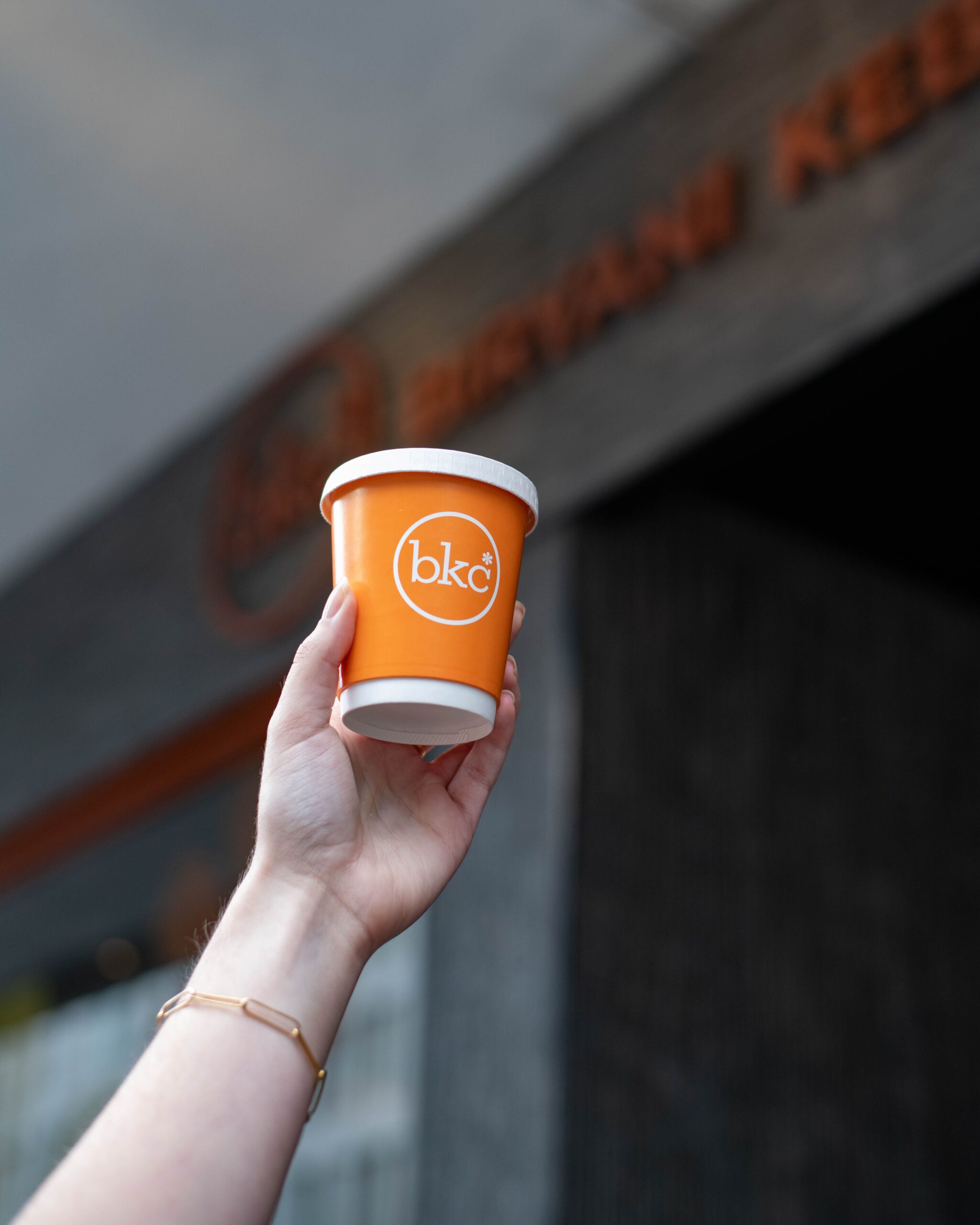 Biryani Kebab Chai | franchise new page